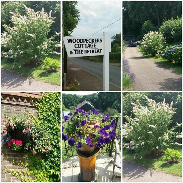 Woodpeckers Cottage B&B Pett Екстериор снимка